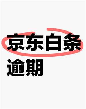 京东白条是什么意思 京东白条欠款逾期了会怎样 京东白条是什么意思 京东白条欠款逾期了会怎样