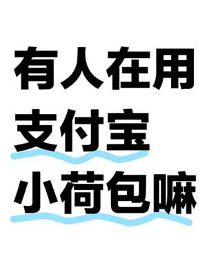 小荷包是干什么用的 小荷包攒钱有风险吗