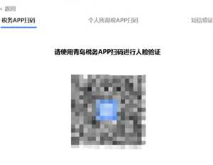 电子税务局网页版打不开怎么办 电子税务局网页版打不开是怎么回事 电子税务局网页版打不开怎么办 电子税务局网页版打不开是怎么回事