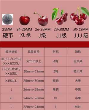 车厘子大小等级J是什么意思 车厘子2j3j4j是什么意思 车厘子大小等级J是什么意思 车厘子2j3j4j是什么意思