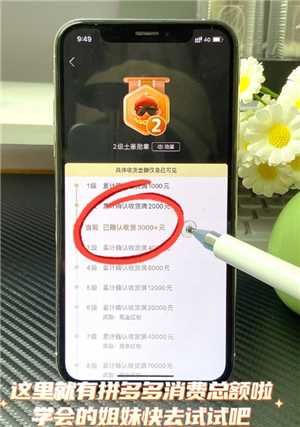 拼多多怎么看总共消费多少钱 拼多多怎么看一年的总消费 拼多多怎么看总共消费多少钱 拼多多怎么看一年的总消费