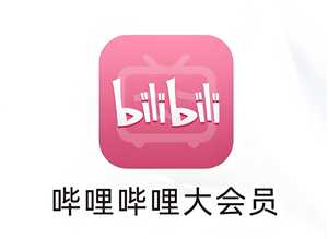 哔哩哔哩大会员怎么买划算 哔哩哔哩大会员和超级大会员区别 哔哩哔哩大会员怎么买划算 哔哩哔哩大会员和超级大会员区别