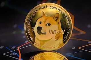 中国境内怎么买狗狗币 中国狗狗币如何购买