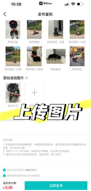 得物宠物鉴别怎么弄 得物宠物鉴别一般多久出接货 得物宠物鉴别怎么弄 得物宠物鉴别一般多久出接货