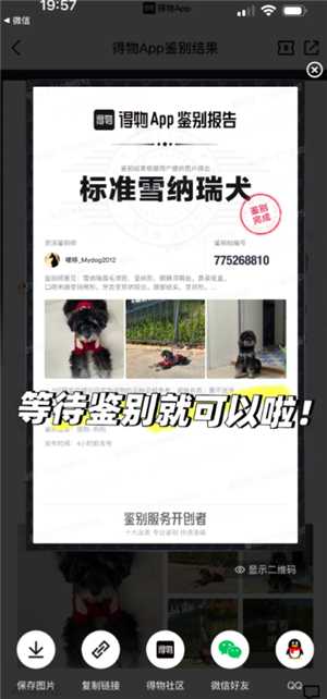 得物宠物鉴别怎么弄 得物宠物鉴别一般多久出接货 得物宠物鉴别怎么弄 得物宠物鉴别一般多久出接货