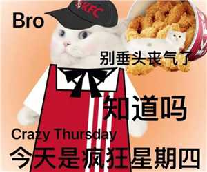 肯德基疯狂星期四几点开始 肯德基疯狂星期四怎么参与 肯德基疯狂星期四几点开始 肯德基疯狂星期四怎么参与