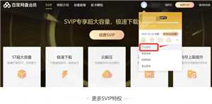 百度网盘会员怎么取消自动续费 百度网盘会员怎么转移到另一个账号 百度网盘会员怎么取消自动续费 百度网盘会员怎么转移到另一个账号