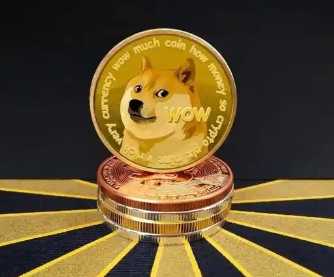 狗狗币交易所怎么下载 狗狗币交易所下载教程