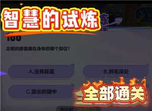 蛋仔派对智慧的试炼怎么过 蛋仔派对智慧的试炼答案 蛋仔派对智慧的试炼怎么过 蛋仔派对智慧的试炼答案