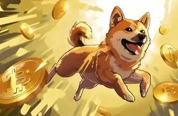 中国大陆怎么买狗狗币 中国大陆买狗狗币正规平台盘点