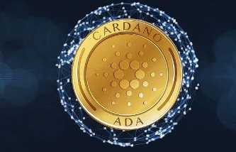 山寨币2025年会疯涨吗 山寨币哪个币最有前景