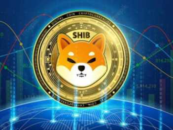 山寨币2025年会疯涨吗 山寨币哪个币最有前景