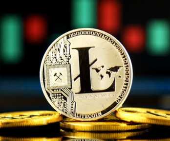 山寨币哪个币最有前景 2025最看好的山寨币有哪些