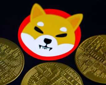 山寨币哪个币最有前景 2025最看好的山寨币有哪些