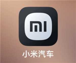 小米汽车app积分有什么用 小米汽车app积分怎么获得 小米汽车app积分有什么用 小米汽车app积分怎么获得