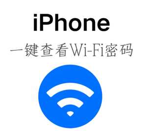 苹果手机能查看已连接wifi密码吗 苹果手机查看已连接wifi密码步骤
