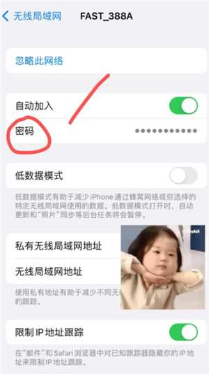 苹果手机能查看已连接wifi密码吗 苹果手机查看已连接wifi密码步骤