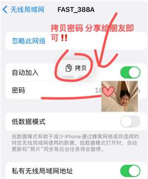 苹果手机能查看已连接wifi密码吗 苹果手机查看已连接wifi密码步骤