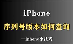 苹果手机序列号开头字母代表什么 苹果手机序列号h开头代表什么意思 苹果手机序列号开头字母代表什么 苹果手机序列号h开头代表什么意思