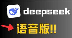 deepseek语音对话开启方法 deepseek语音对话的详细步骤