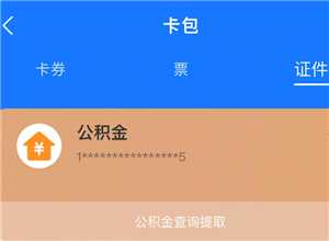 支付宝怎么查公积金账户余额 支付宝怎么查公积金缴费记录明细 支付宝怎么查公积金账户余额 支付宝怎么查公积金缴费记录明细