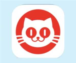 猫眼app票夹在哪里 猫眼票夹是不是已经出票了