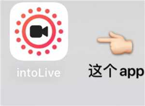 intoLive官网入口 intoLive无法打开的原因及解决方法 intoLive官网入口 intoLive无法打开的原因及解决方法