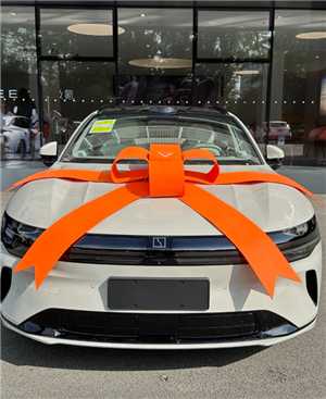 极氪app怎么绑定车辆 极氪app绑定车辆流程步骤 极氪app怎么绑定车辆 极氪app绑定车辆流程步骤