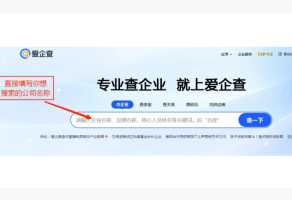 爱企查怎么免费查询 爱企查怎么查法人身份证号码 爱企查怎么免费查询 爱企查怎么查法人身份证号码