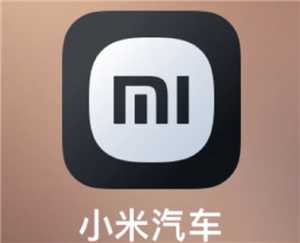 小米汽车app看不到车辆位置怎么办 小米汽车app看不到车辆位置解决方法 小米汽车app看不到车辆位置怎么办 小米汽车app看不到车辆位置解决方法