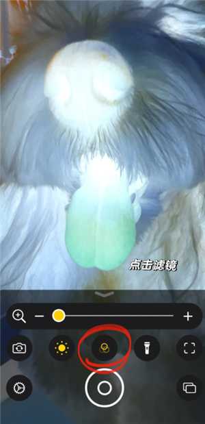 iPhone可以检查宠物身上的虫子吗 iPhone宠物寄生虫检测方法 iPhone可以检查宠物身上的虫子吗 iPhone宠物寄生虫检测方法