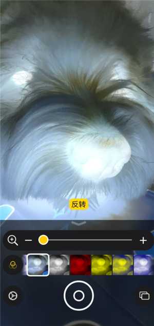 iPhone可以检查宠物身上的虫子吗 iPhone宠物寄生虫检测方法 iPhone可以检查宠物身上的虫子吗 iPhone宠物寄生虫检测方法