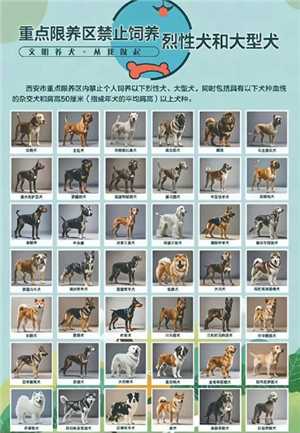禁养犬有哪些名单 禁养犬怎么养是合法的
