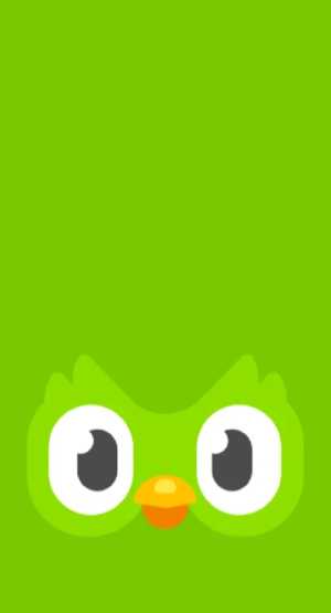 多邻国保分是什么意思 多邻国保分是怎么做到的