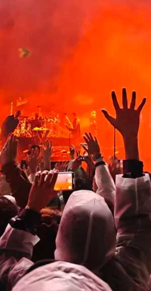 音乐节早鸟票和预售票区别 音乐节早鸟票和预售票位置一样吗 音乐节早鸟票和预售票区别 音乐节早鸟票和预售票位置一样吗