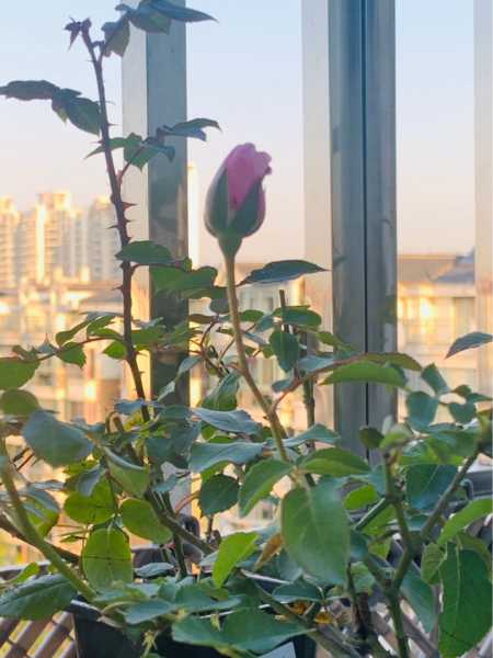 房间潮湿有什么办法可以解决