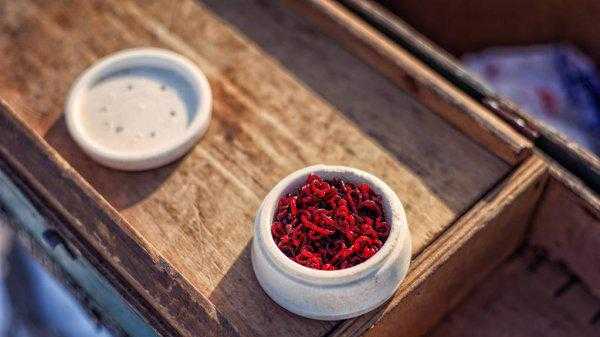 红虫和蚯蚓哪个钓鱼好