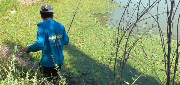 抄网竿买多长合适