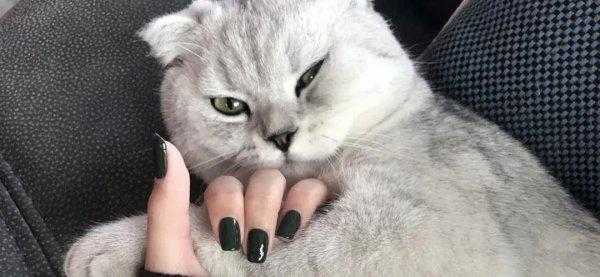 手偏黑偏黄适合什么颜色美甲