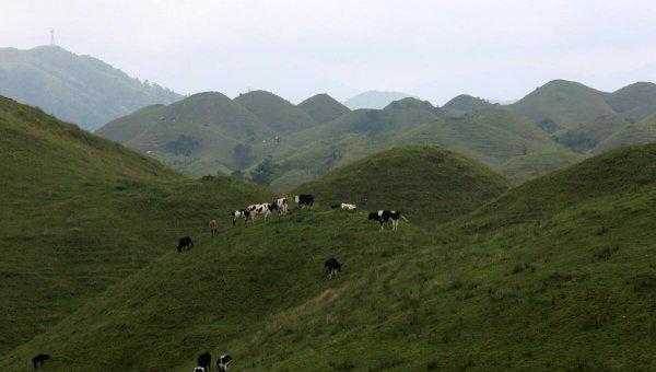城步苗族自治县属于哪个市