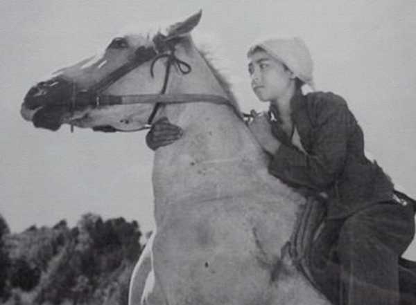 红色影视作品推荐