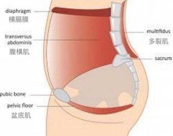 核心力量是哪个部位