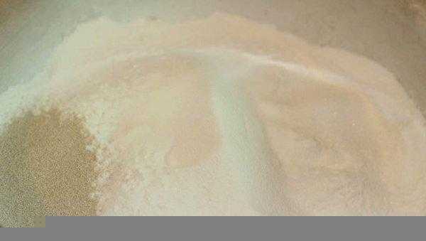 发酵粉的主要成分是什么