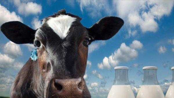 市面上牛奶排行榜前十位