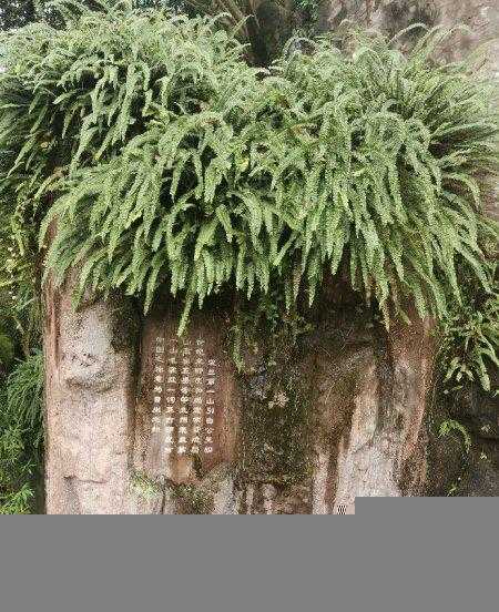 峨眉山是哪位菩萨的道场