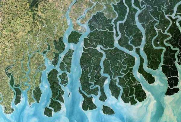 河口三角洲是什么