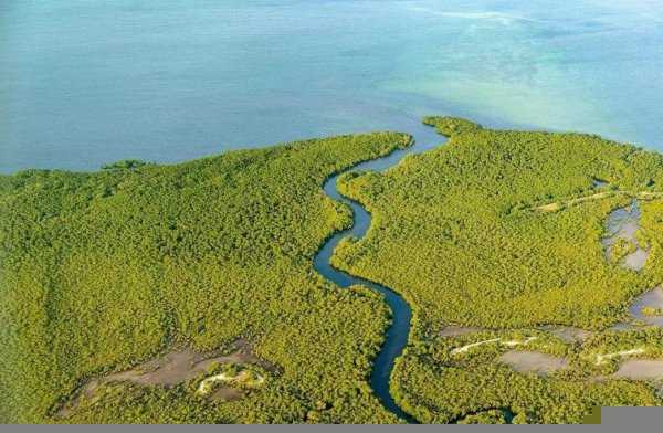 河口三角洲是什么