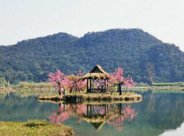 三生三世十里桃花里的青丘是什么地方