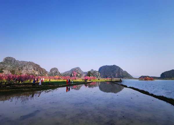 三生三世十里桃花里的青丘是什么地方