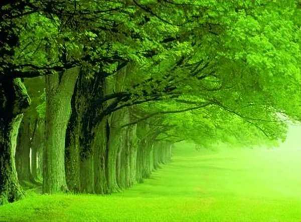 中国青年划分标准是什么